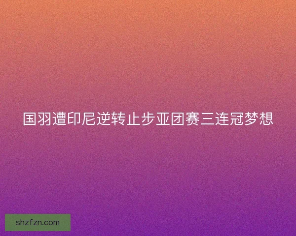 国羽遭印尼逆转止步亚团赛三连冠梦想 国羽遭印尼逆转止步亚团赛三连冠梦想