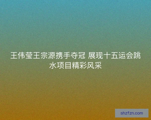 王伟莹王宗源携手夺冠 展现十五运会跳水项目精彩风采 王伟莹王宗源携手夺冠 展现十五运会跳水项目精彩风采