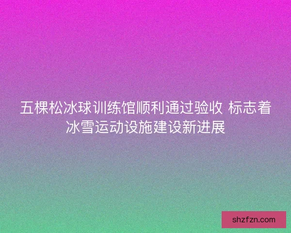 五棵松冰球训练馆顺利通过验收 标志着冰雪运动设施建设新进展 五棵松冰球训练馆顺利通过验收 标志着冰雪运动设施建设新进展