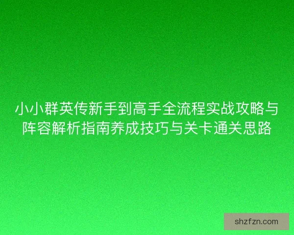 小小群英传新手到高手全流程实战攻略与阵容解析指南养成技巧与关卡通关思路 小小群英传新手到高手全流程实战攻略与阵容解析指南养成技巧与关卡通关思路