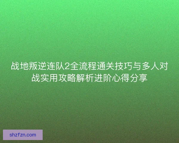 战地叛逆连队2全流程通关技巧与多人对战实用攻略解析进阶心得分享